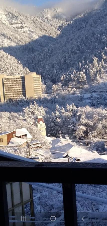 Tamara Appartement Bordzjomi Buitenkant foto