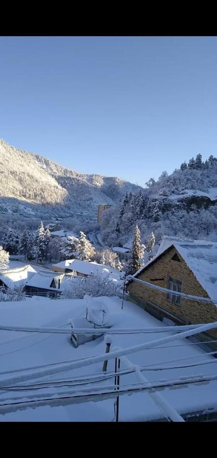 Tamara Appartement Bordzjomi Buitenkant foto