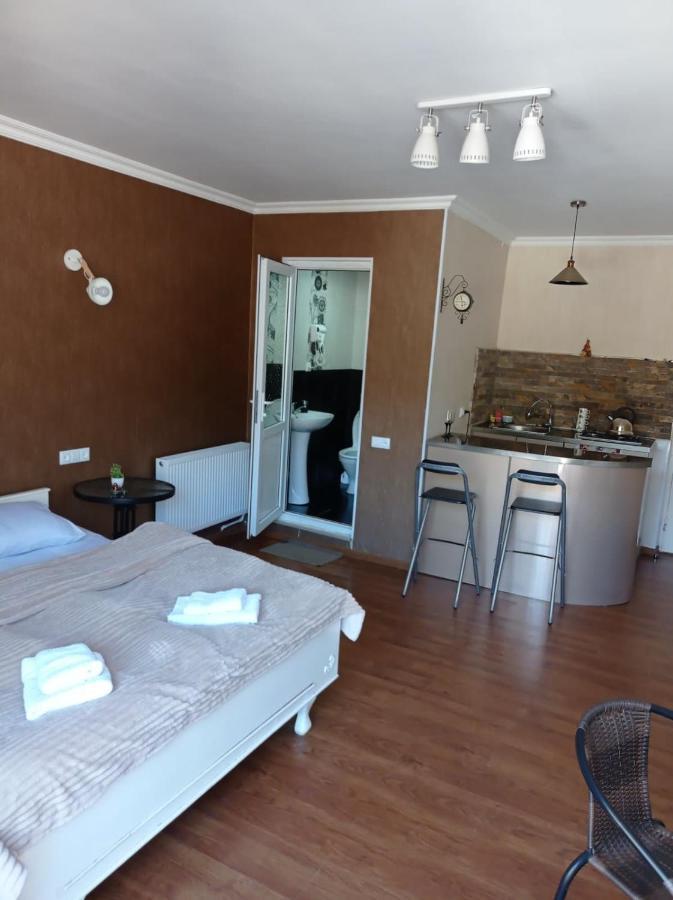Tamara Appartement Bordzjomi Buitenkant foto